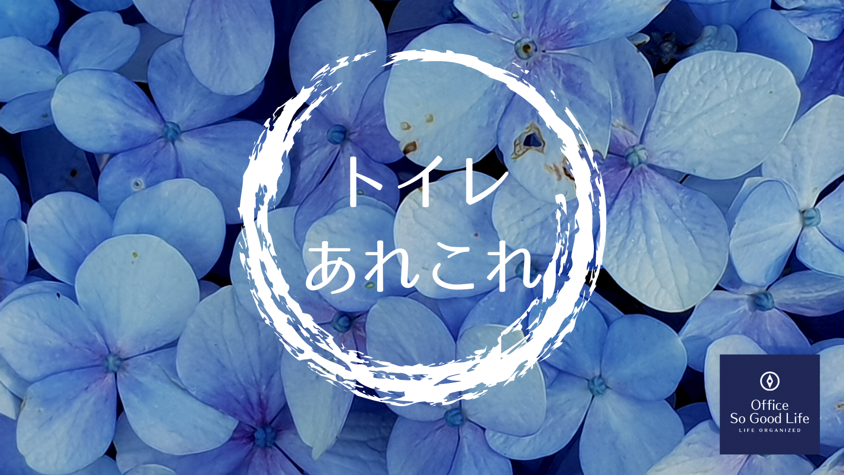 トイレ　「家族が汚すのに掃除しません！」